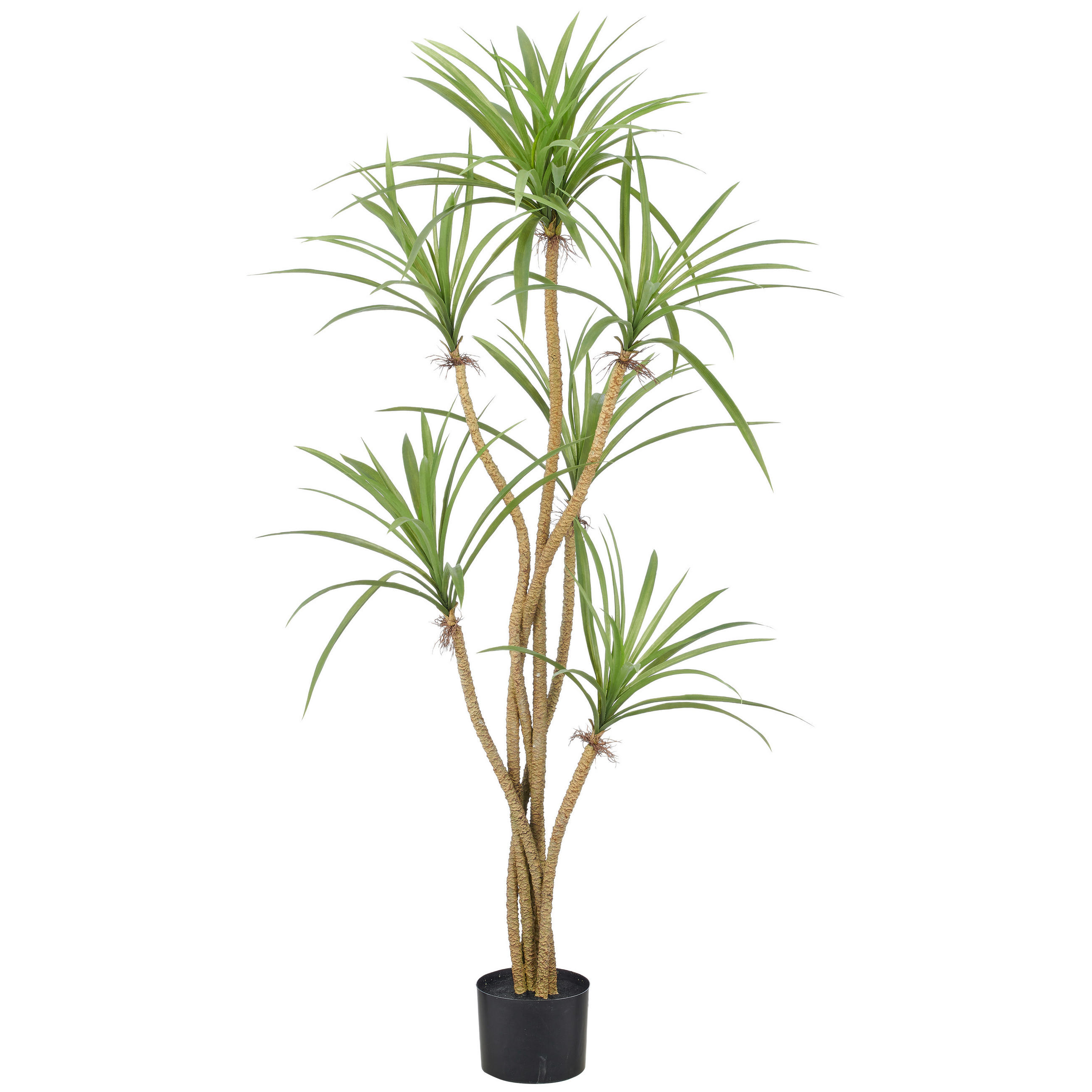 KUNSTPFLANZE Drachenbaum 140 cm  - Schwarz/Braun, Basics, Kunststoff (140cm)