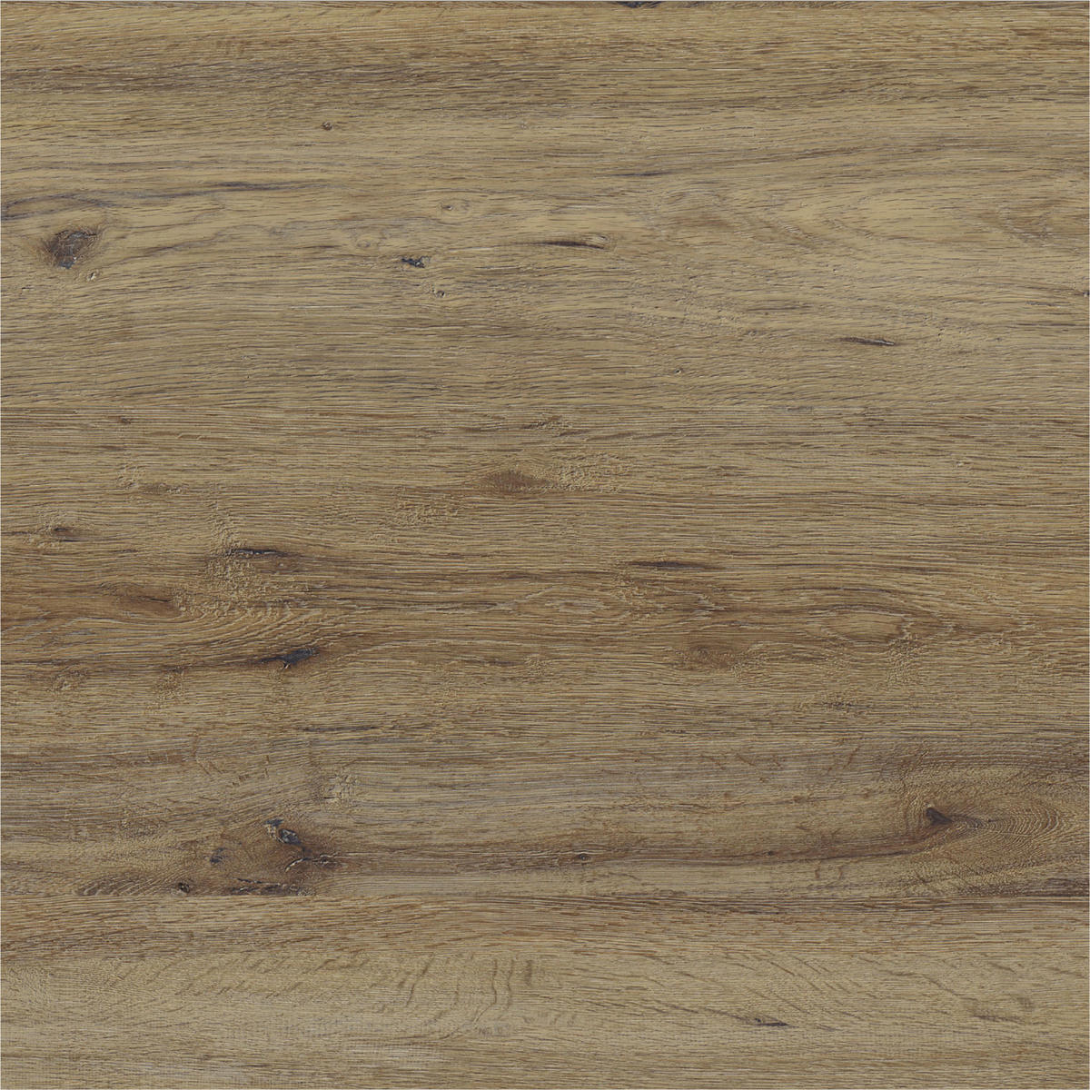 DESIGNBODEN X-Large  per  m² - Eichefarben, Basics, Kunststoff (151/22/0.75cm)