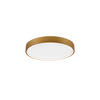 LED-DECKENLEUCHTE  45/5,5 cm    - Messingfarben, Konventionell, Metall (45/5,5cm) - Trio Leuchten