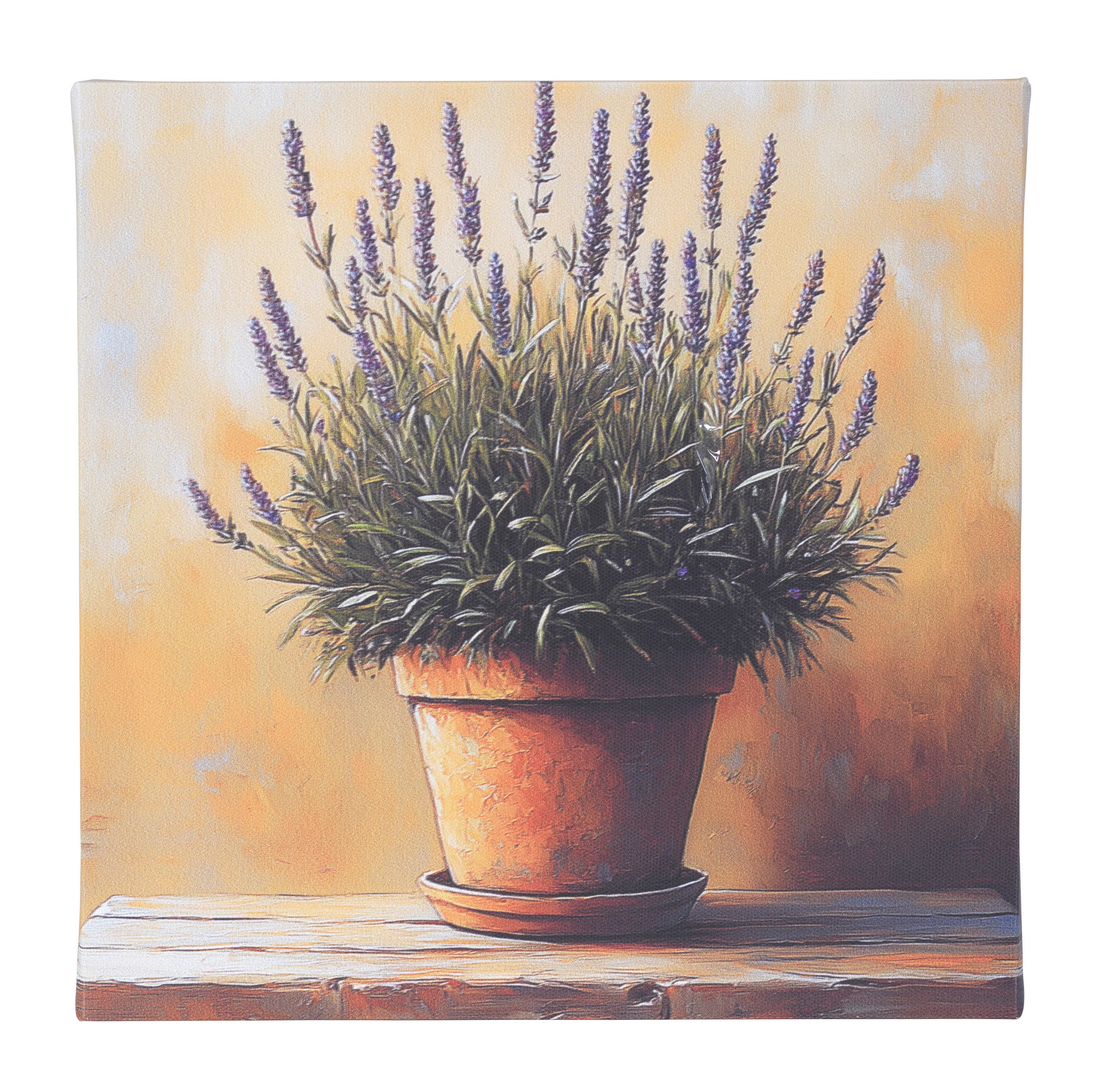 Euroart Leinwandbild Lavender I Mehrfarbig 30x30 cm