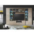 WOHNWAND Eichefarben - Eichefarben/Silberfarben, Design, Glas/Holzwerkstoff (299/194/44cm) - CARRYHOME