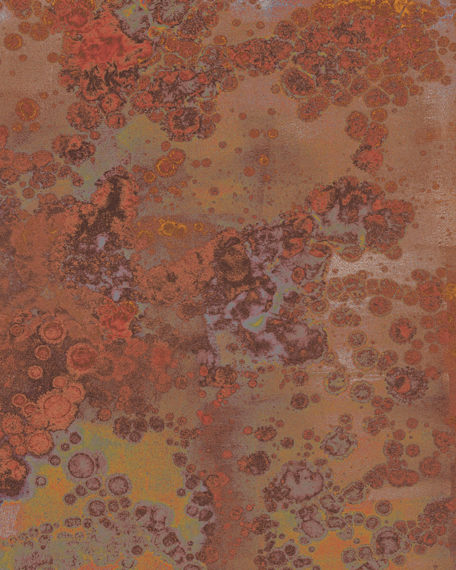 Xora Vliestapete Braun 200x250 cm