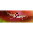 GLASBILD - Multicolor, KONVENTIONELL, Glas (30/80cm) - Eurographics