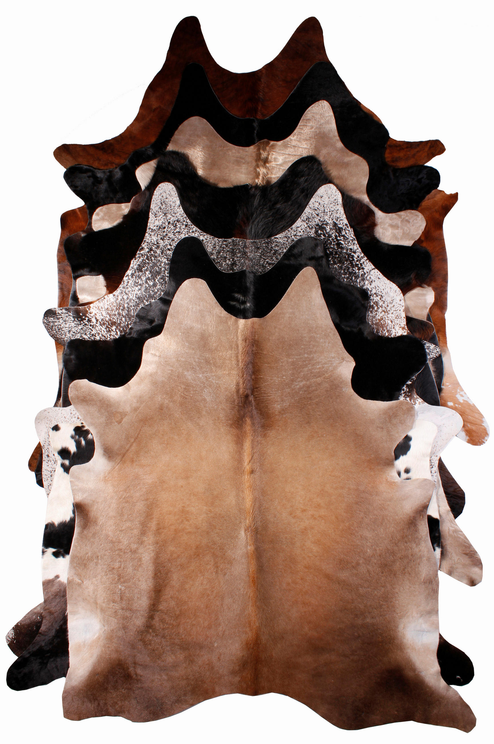 HOVĚZÍ KOŽEŠINA,  - Basics, kožešina