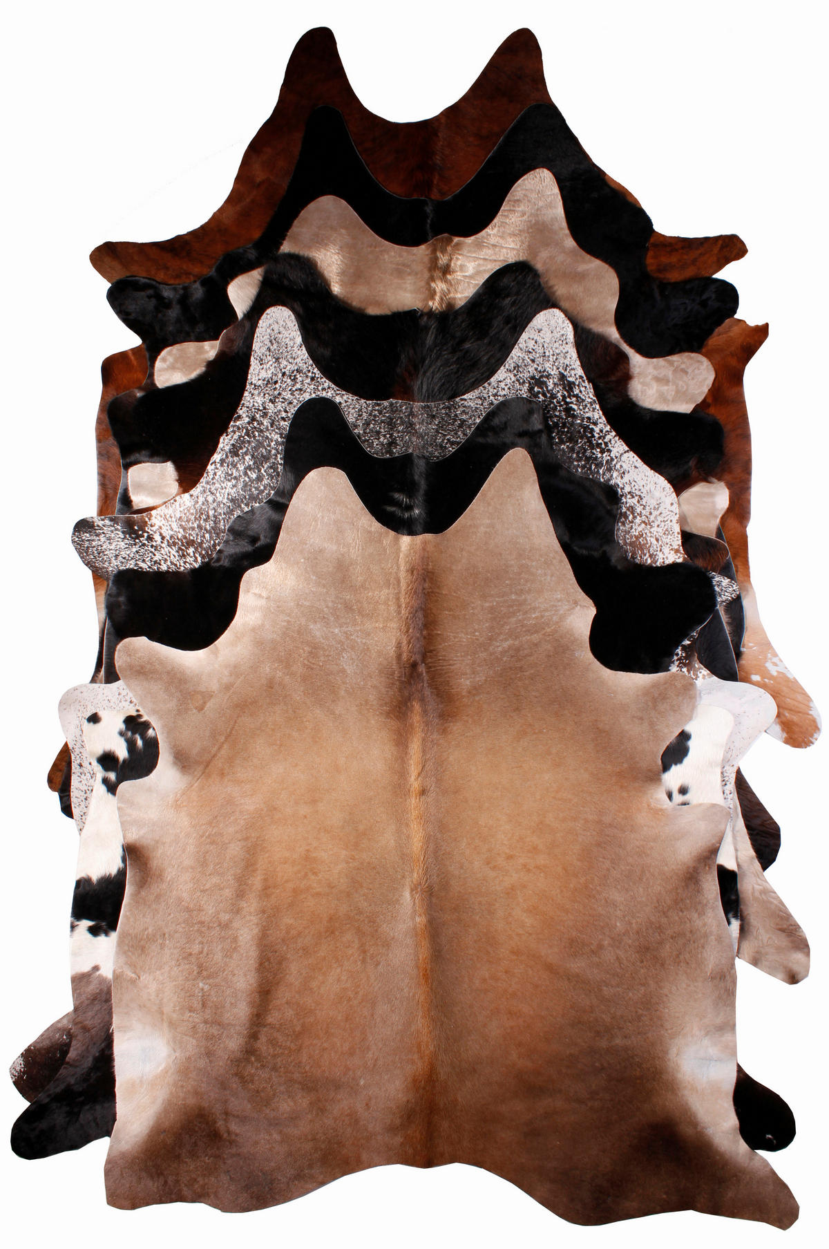 HOVĚZÍ KOŽEŠINA,  - Basics, kožešina