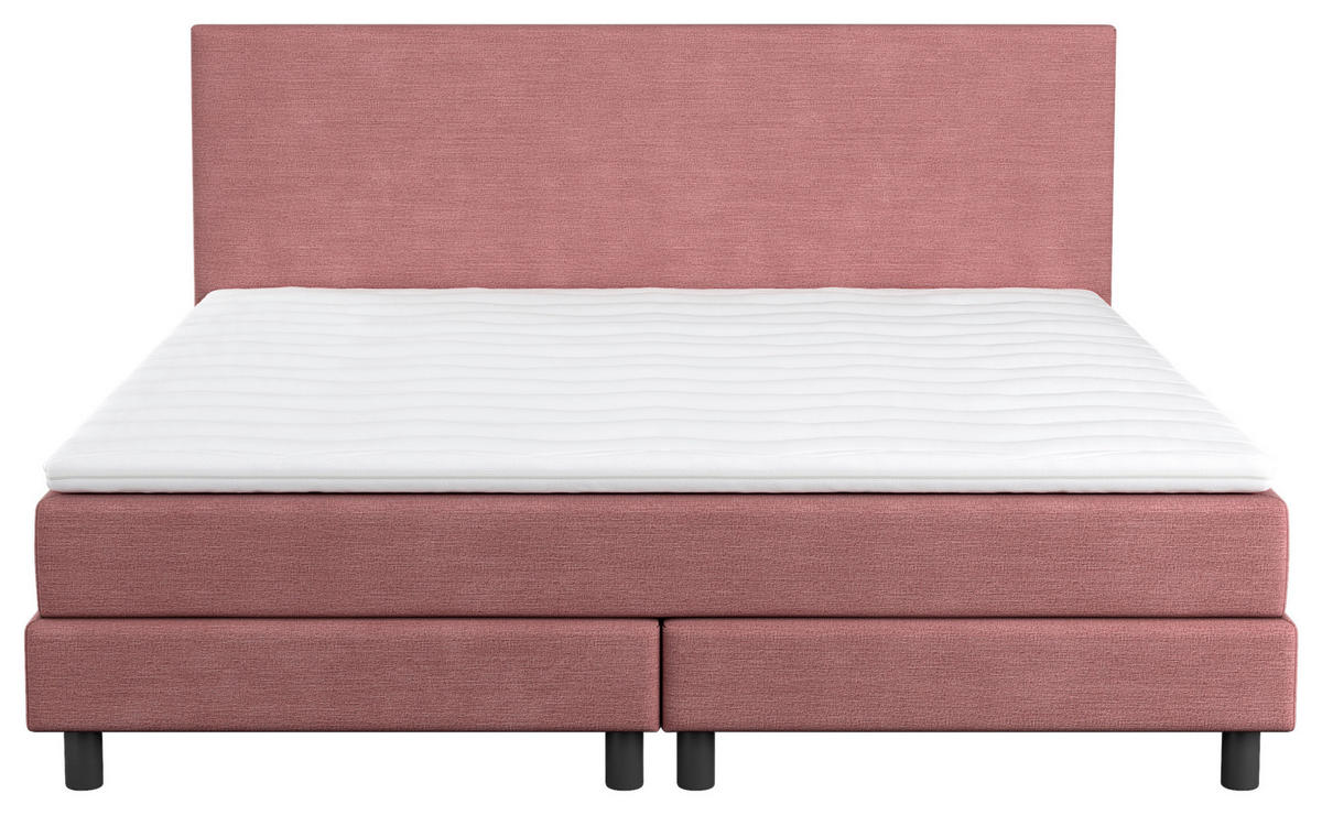 BOXBETT 160/200 cm  in Rosa  - Schwarz/Rosa, Modern, Holzwerkstoff/Textil (160/200cm) - MID.YOU