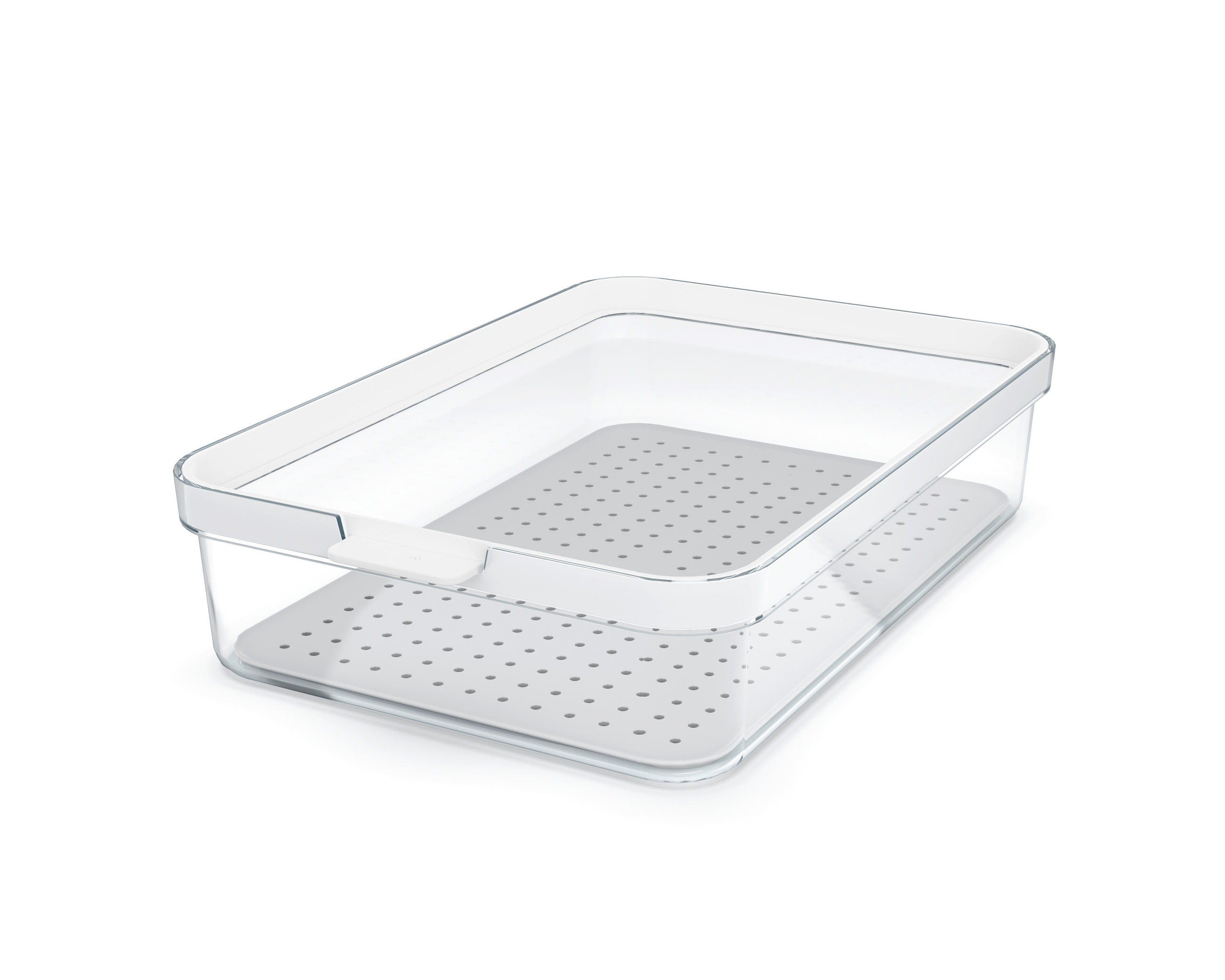 KÜHLSCHRANKBOX  - Klar/Weiß, Basics, Kunststoff (28,2/18,4/6,2cm) - Rotho