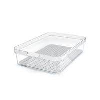 KÜHLSCHRANKBOX  - Klar/Weiß, Basics, Kunststoff (28,2/18,4/6,2cm) - Rotho