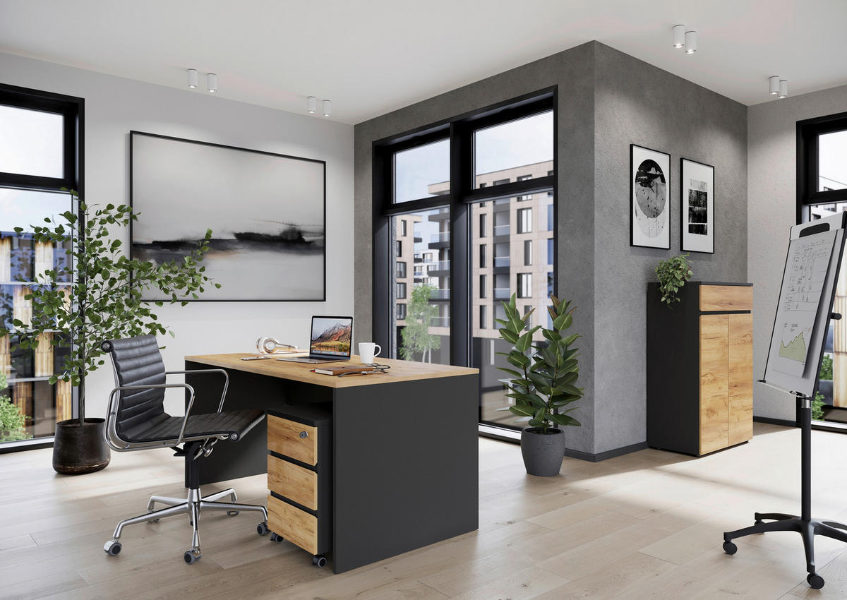 AKTENSCHRANK  - Eichefarben/Graphitfarben, MODERN, Holzwerkstoff (80/120/40cm) - Germania