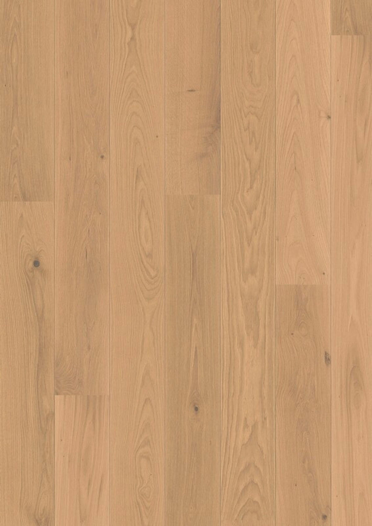 LANDHAUSDIELE, Puristico Trend Eiche Sahara Balance 100013801  per  m² - Eichefarben, Trend, Holz (220,5/17,6/1,3cm) - Tilo