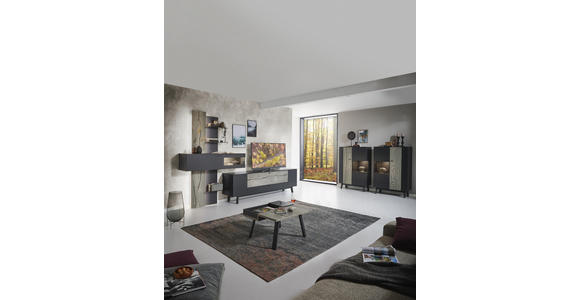 WOHNWAND in Anthrazit, Grau, Eichefarben - Eichefarben/Anthrazit, Design, Glas/Holz (333,1/223,2/49,2cm) - Dieter Knoll