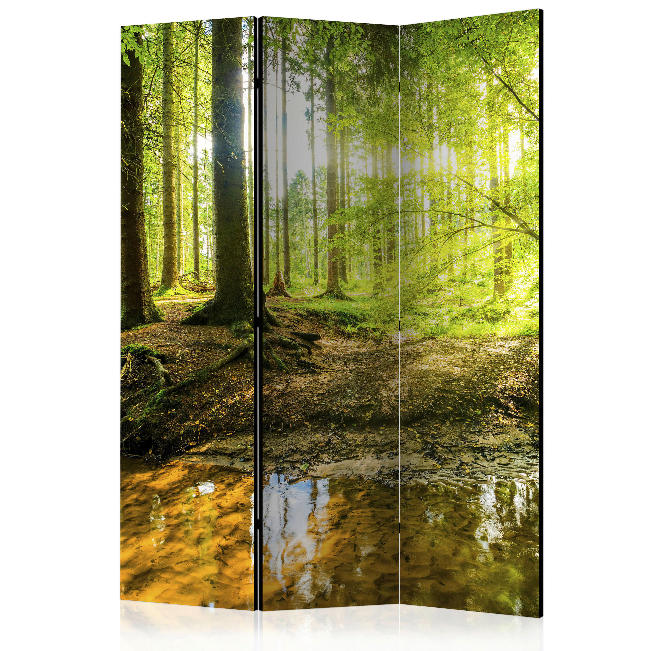 artgeist PARAVÁN, 135/172/3 cm