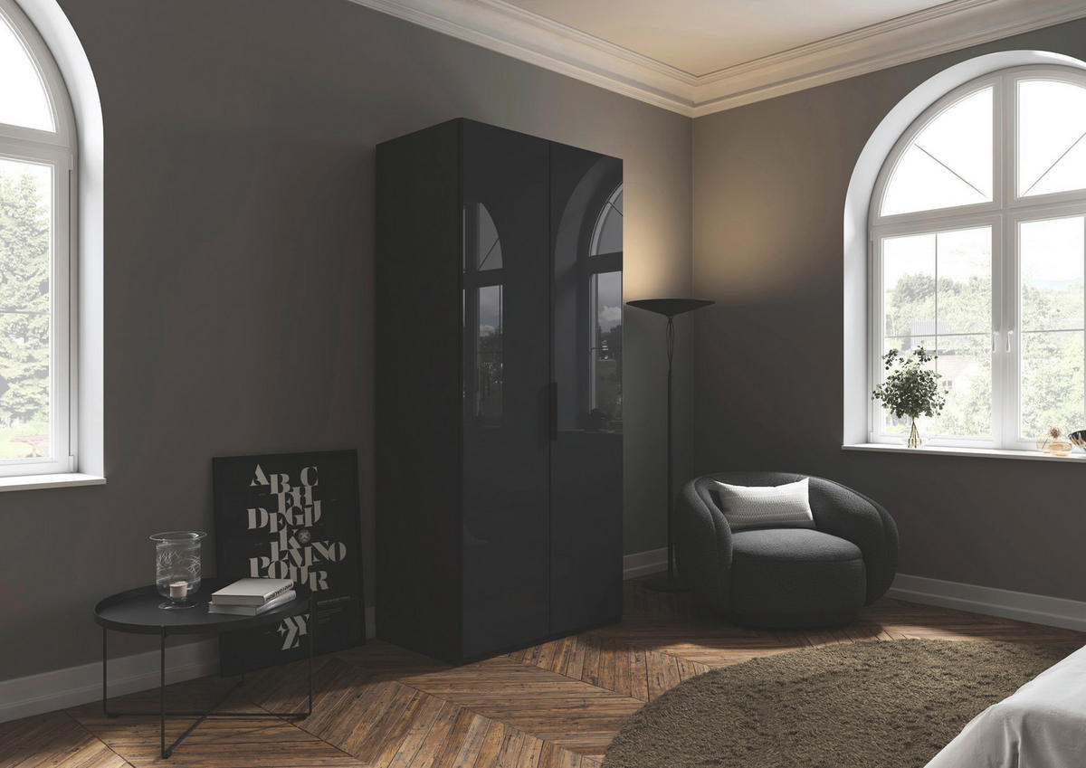 DREHTÜRENSCHRANK 101/223/61 cm,  in Graphitfarben, 2-türig  - Graphitfarben, Basics, Glas/Holzwerkstoff (101/223/61cm) - Novel