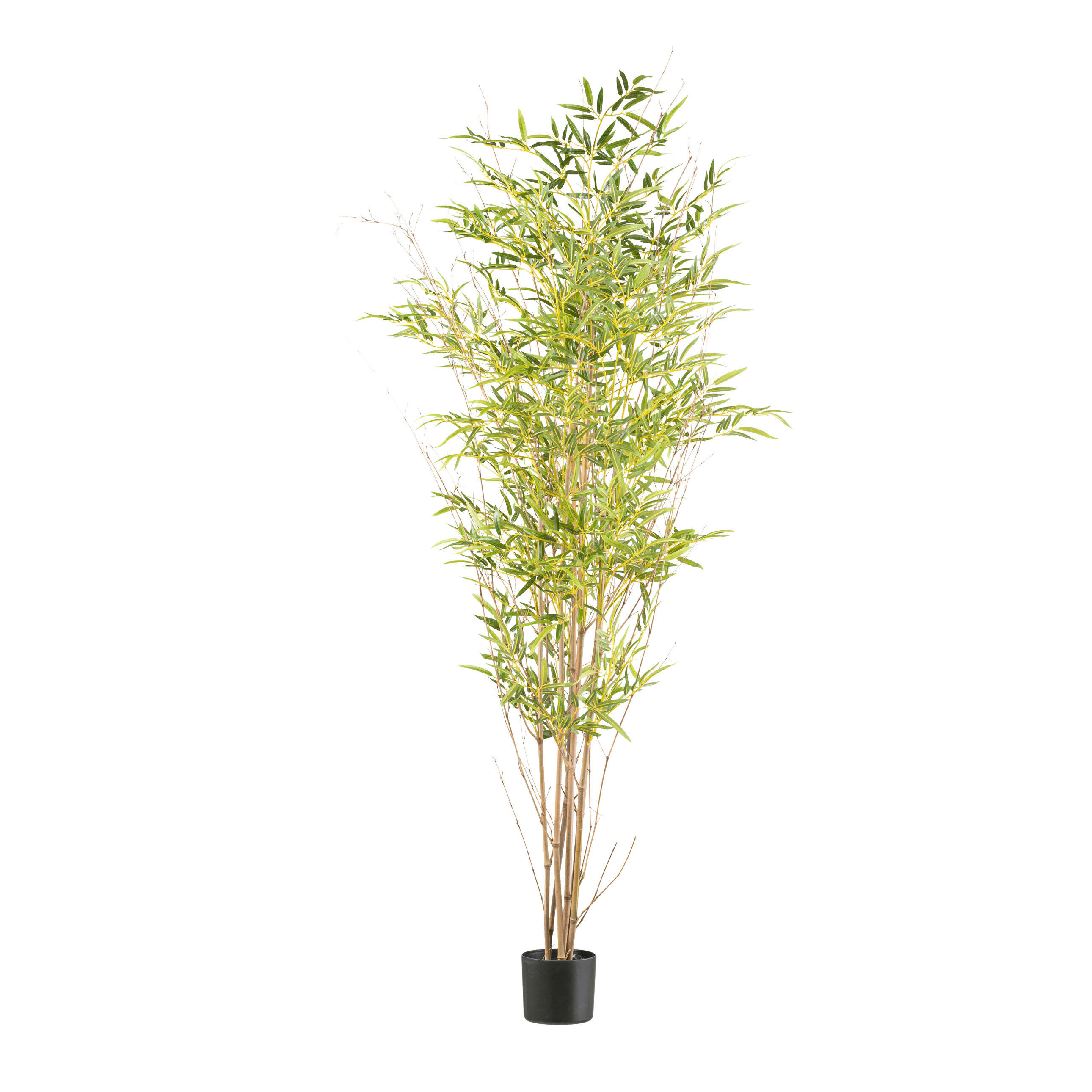 KUNSTPFLANZE Bambus 185 cm  - Schwarz/Naturfarben, Design, Naturmaterialien/Kunststoff (185cm) - P & B