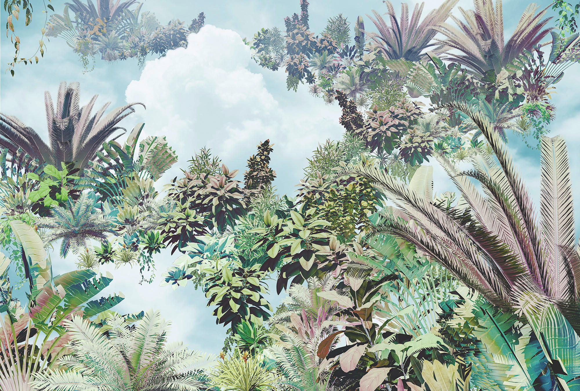 Xora Vliestapete Mehrfarbig 368x248 cm