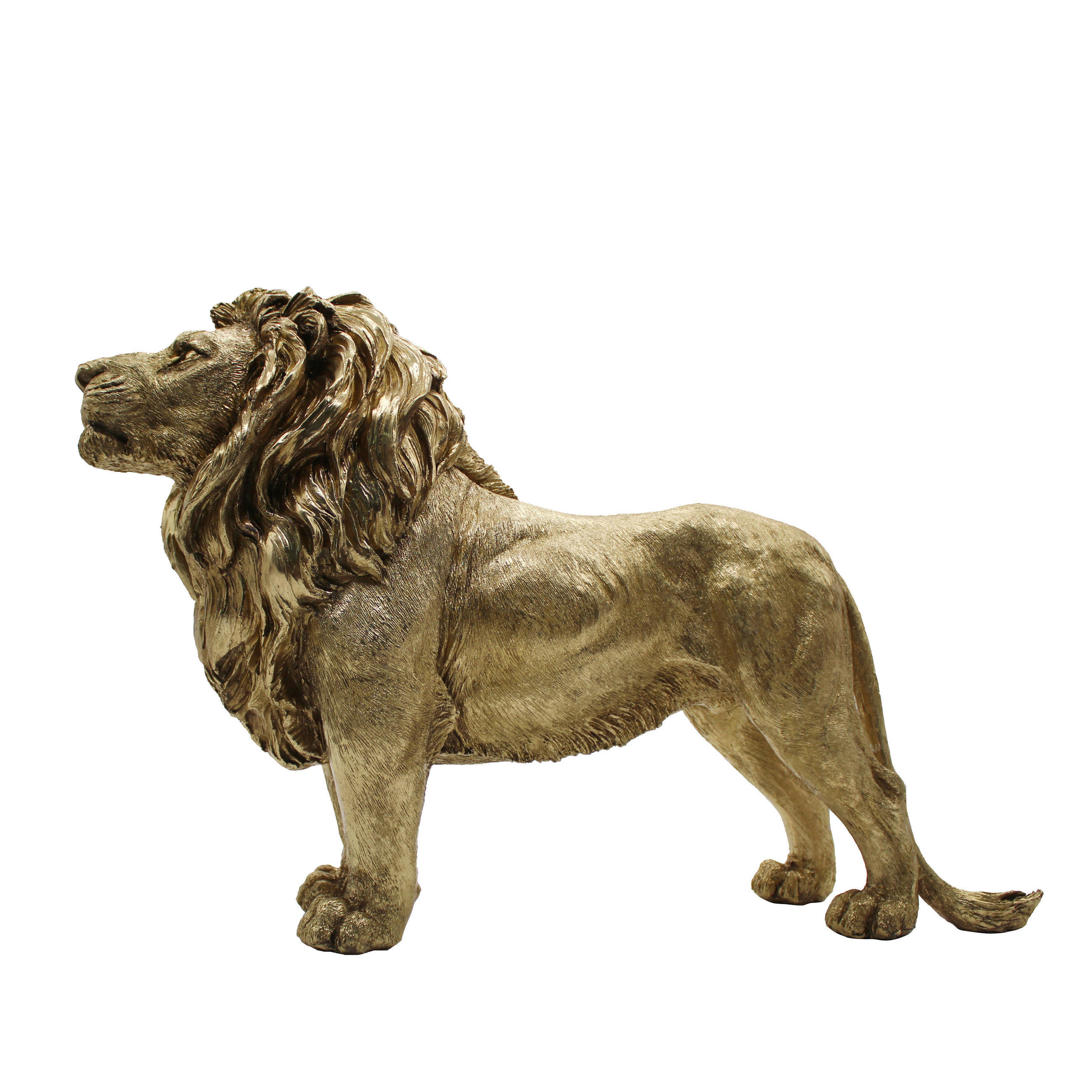 Ambia Home DEKOLÖWE online kaufen ➤ XXXLutz.at