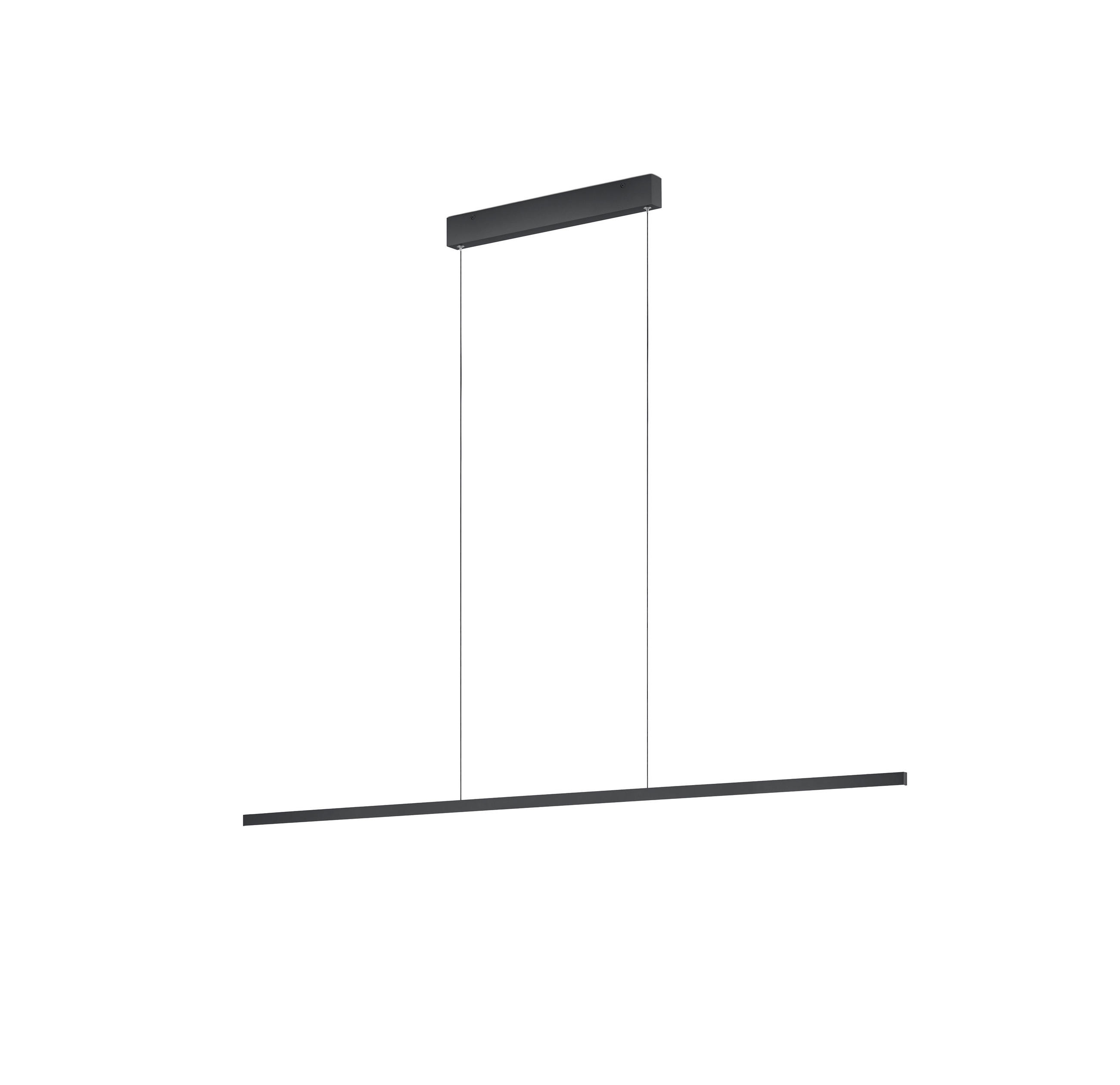 LED-HÄNGELEUCHTE LOOPY-evo 126,5/3 / 1,2/210 cm   - Schwarz, MODERN, Metall (126,5/3 / 1,2/210cm) - Helestra