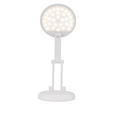 LED-SCHREIBTISCHLEUCHTE 12,5/23,5 cm   - Weiß, Basics, Kunststoff (12,5/23,5cm) - Novel