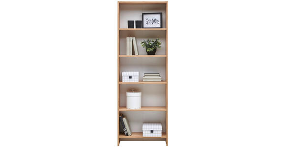 REGAL Eiche Artisan - Eiche Artisan, Design, Holzwerkstoff (60/175/24cm) - Carryhome