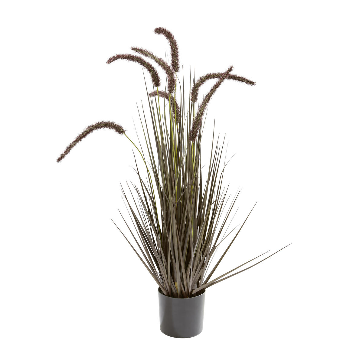 KUNSTPFLANZE  - Natur (12,5cm) - Ambia Home