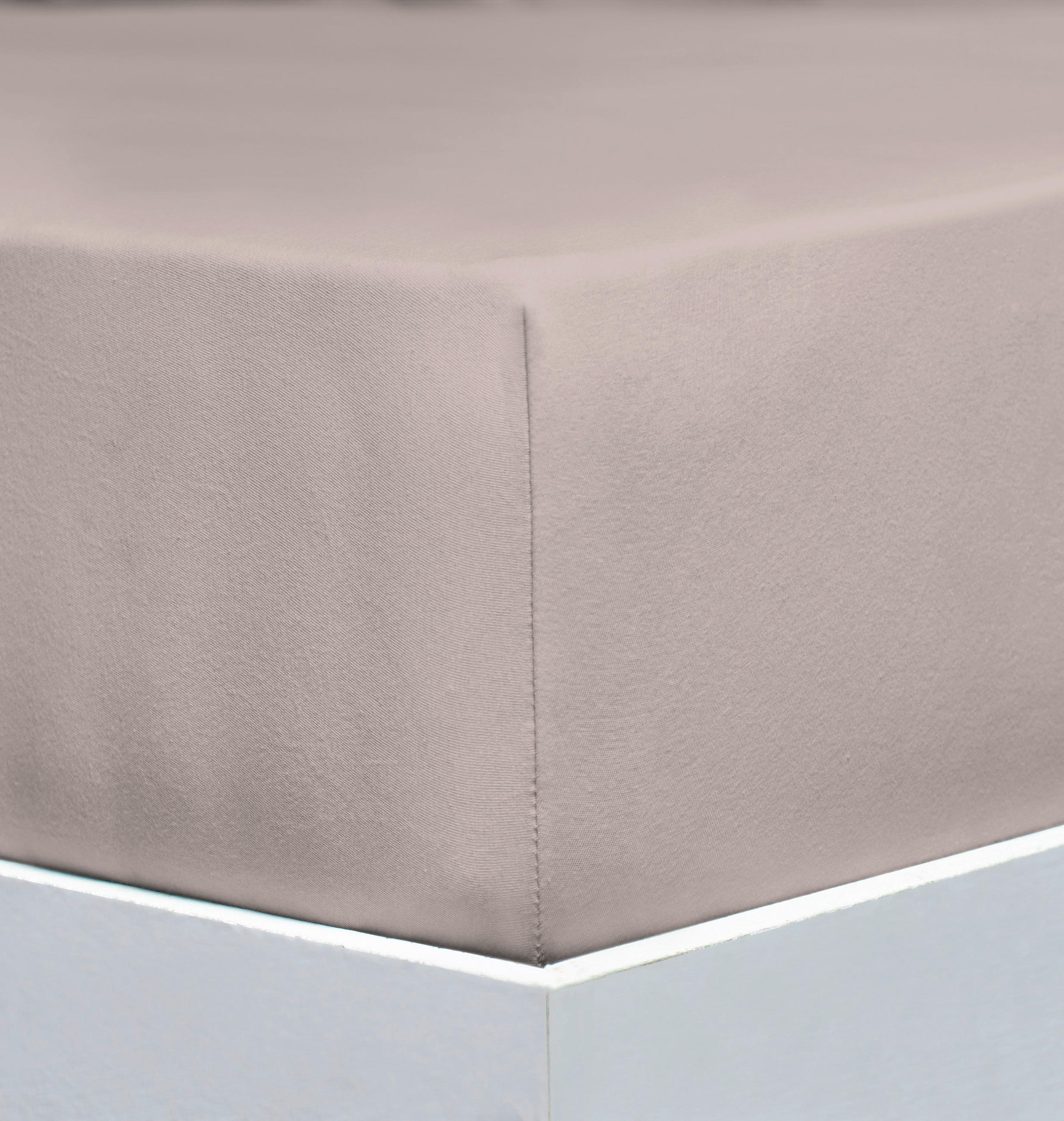 SPANNLEINTUCH 180-200/200-220 cm Jersey  - Beige, Basics, Textil (180-200/200-220cm) - Florella