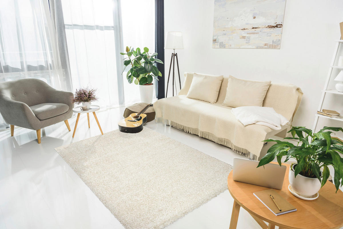 SHAGGY 120/170 cm Arya Creme  - Creme, KONVENTIONELL, Textil (120/170cm)