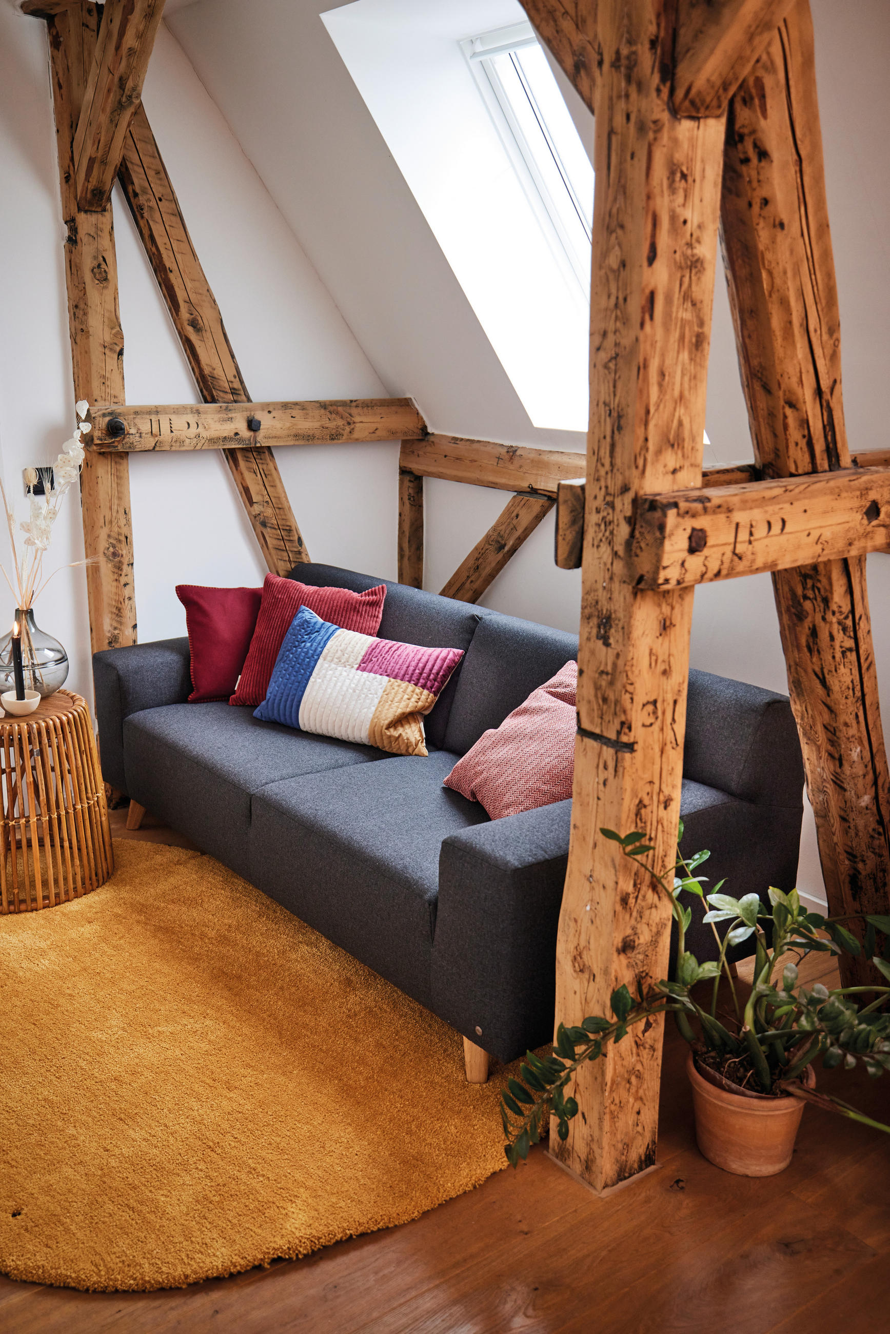 HOCHFLORTEPPICH 80/120 cm Cozy Goldfarben  - Goldfarben, Basics, Textil (80/120cm) - Tom Tailor