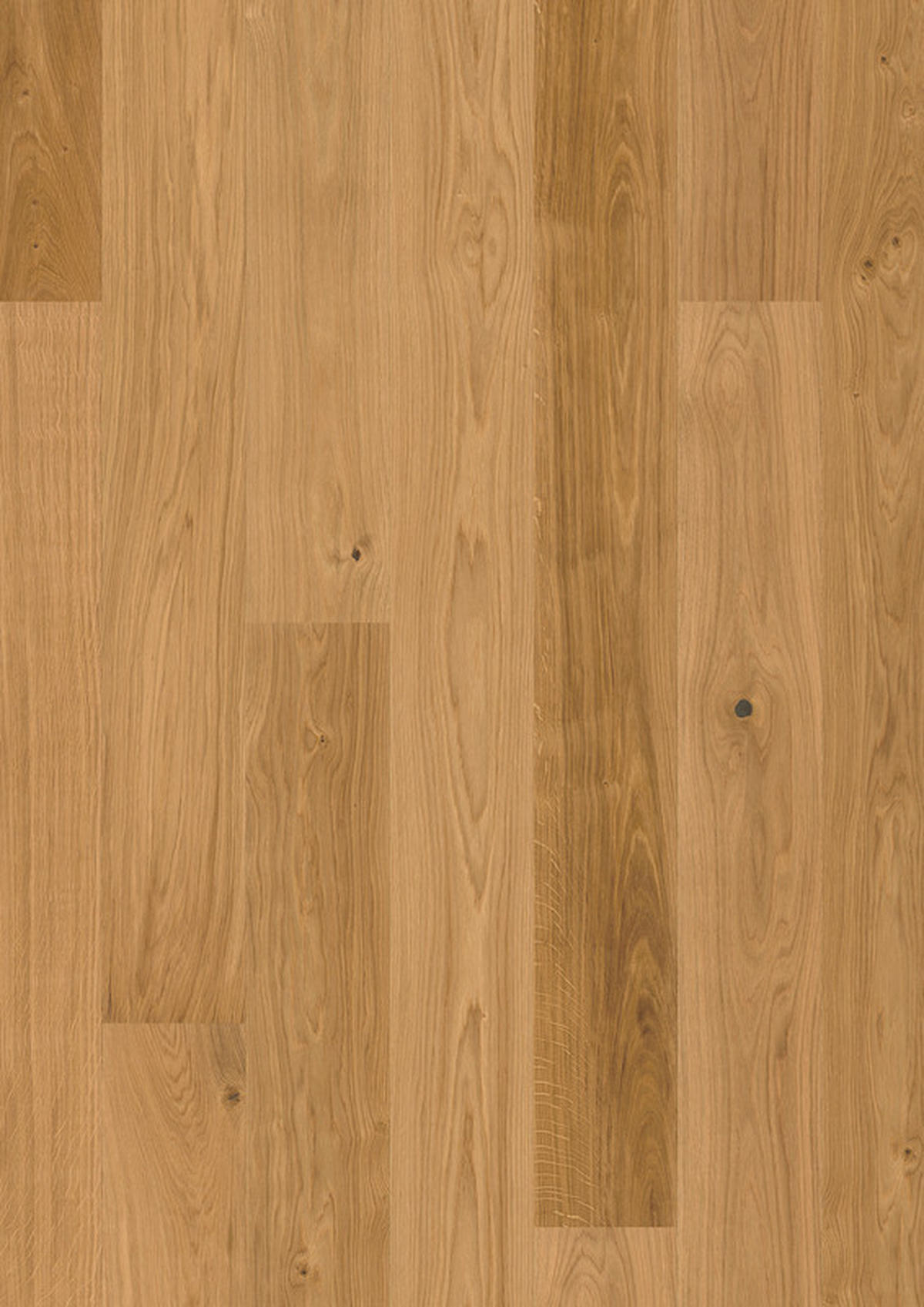 LANDHAUSDIELE Puristico Trend Eiche Natur 1000012901  per  m² - Eichefarben, Trend, Holz (220,5/17,6/1,3cm) - Tilo