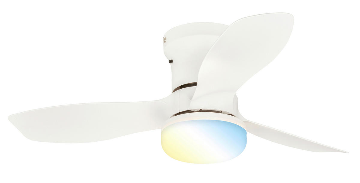 DECKENVENTILATOR - Weiß, Design, Kunststoff (60/19cm)