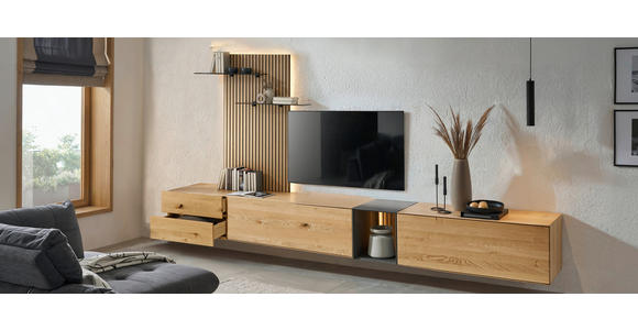 WOHNWAND  in Anthrazit, Eichefarben  342/160/50 cm  - Eichefarben/Anthrazit, Design, Glas/Holz (342/160/50cm) - Dieter Knoll