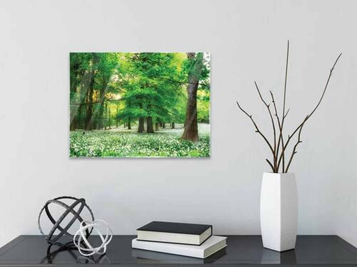 OBRAZ NA SKLE, stromy, 30/40 cm  - vícebarevná, Basics, sklo (30/40cm) - Euroart