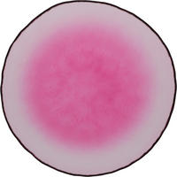 MÉLYTÁNYÉR 22 cm  - Basics, Üveg (22cm)