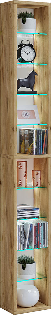 REGAL Eichefarben, Honig  - Eichefarben/Honig, Basics, Glas/Holzwerkstoff (21/152/20cm) - MID.YOU