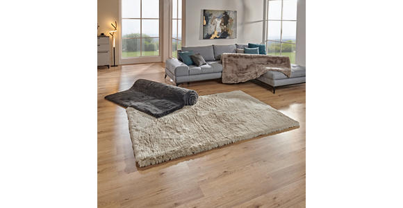 HOCHFLORTEPPICH 60/110 cm Yogi Taupe - Taupe, Design, Textil (60/110cm) - Novel