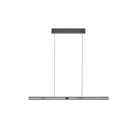 LED-HÄNGELEUCHTE  - Anthrazit, Basics, Metall - elements by BANKAMP