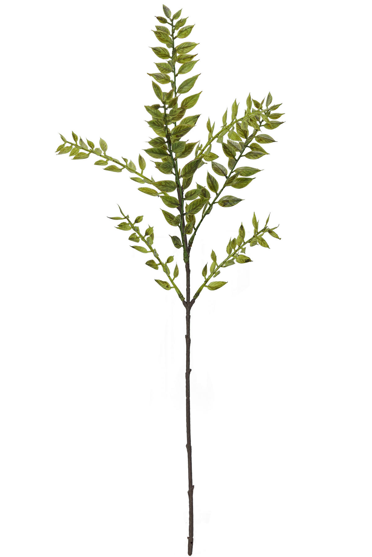 DEKOZWEIG  - Grün, Basics (50cm)