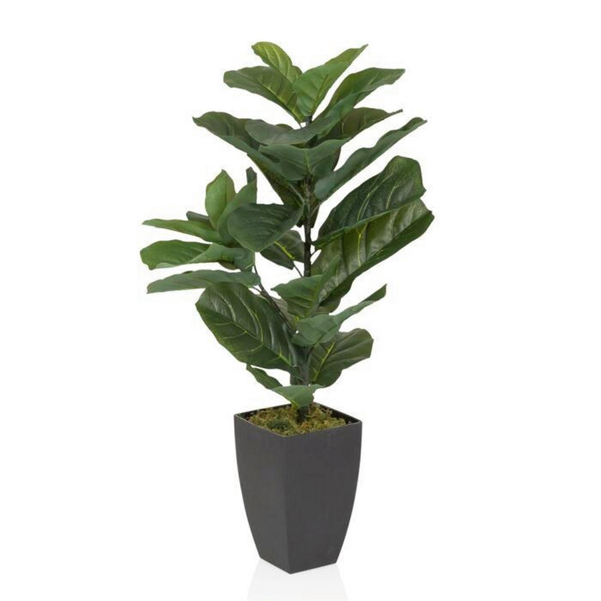 UMĚLÁ ROSTLINA  - černá/zelená, Moderní, plast (20/80/20cm) - MID.YOU