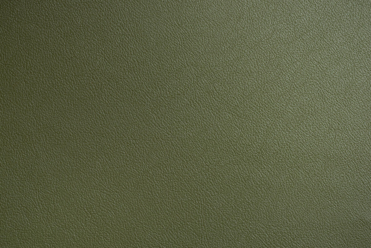 STUHL  Lederauswahl, Stoffauswahl, abwischbar  Echtleder  - Graphitfarben/Grün, Design, Leder/Metall (52/85/66cm) - Cassando