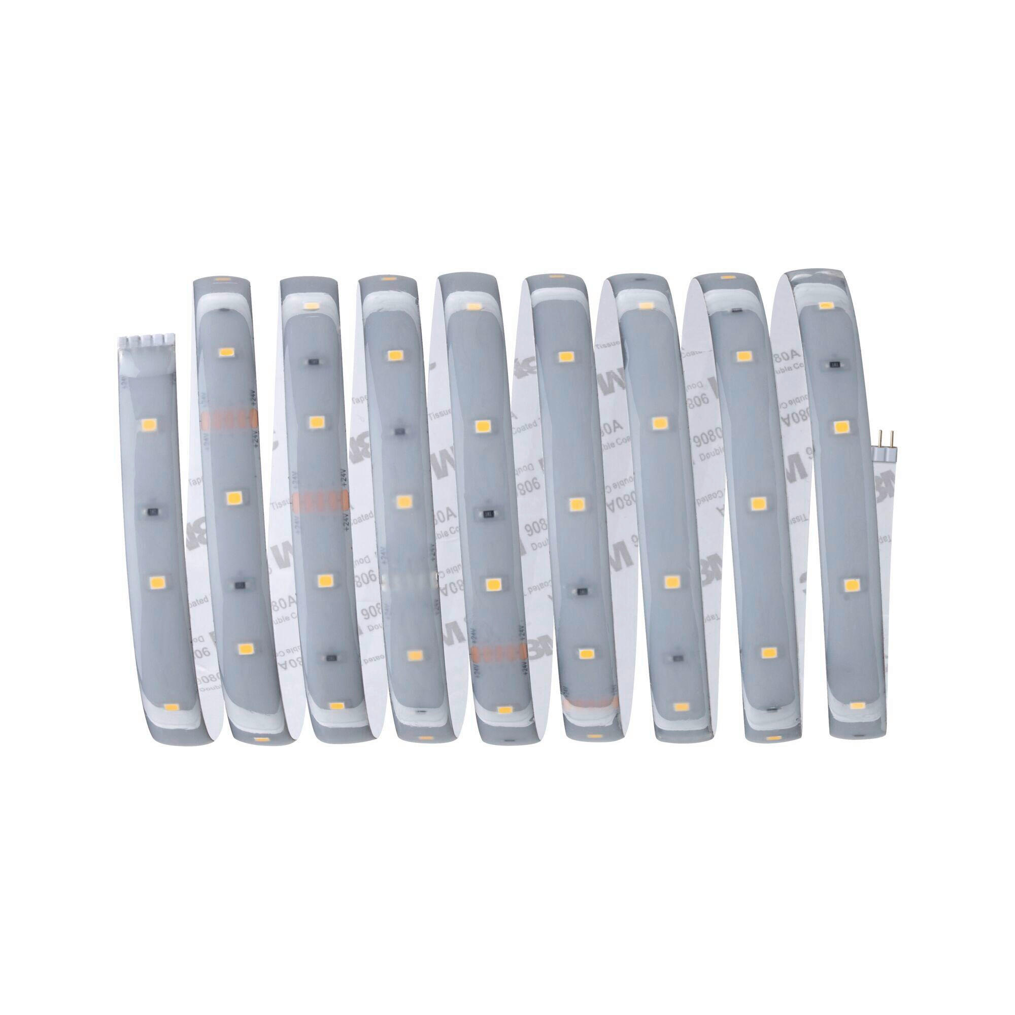 LED-STRIP MaxLED 250 250 cm   - Silberfarben, Basics, Kunststoff (250cm) - Paulmann