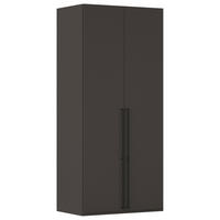 DREHTÜRENSCHRANK Graphitfarben  - Schwarz/Graphitfarben, Basics, Holzwerkstoff/Metall (101/235/61cm) - Novel