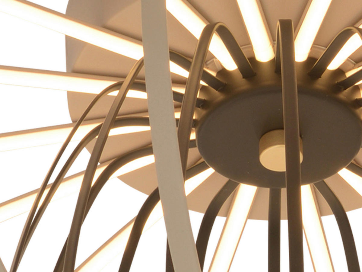 LED-DECKENLEUCHTE Salo 55/33 cm   - Sandfarben, Design, Kunststoff/Metall (55/33cm)