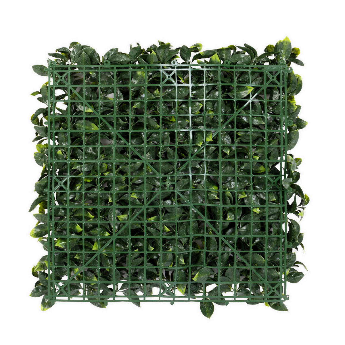 Wandverkleidung Pflanzenwand  Kunststoff  - Smaragdgrün, Trend, Kunststoff (50/50cm) - Floordirekt