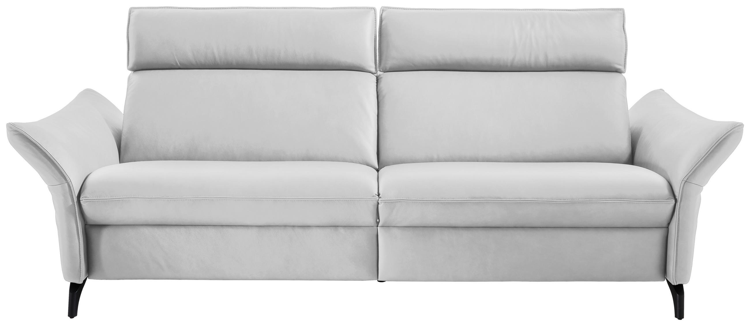 3-SITZER-SOFA Echtleder Hellgrau  - Anthrazit/Hellgrau, Design, Leder/Metall (224/94/95cm) - Himolla