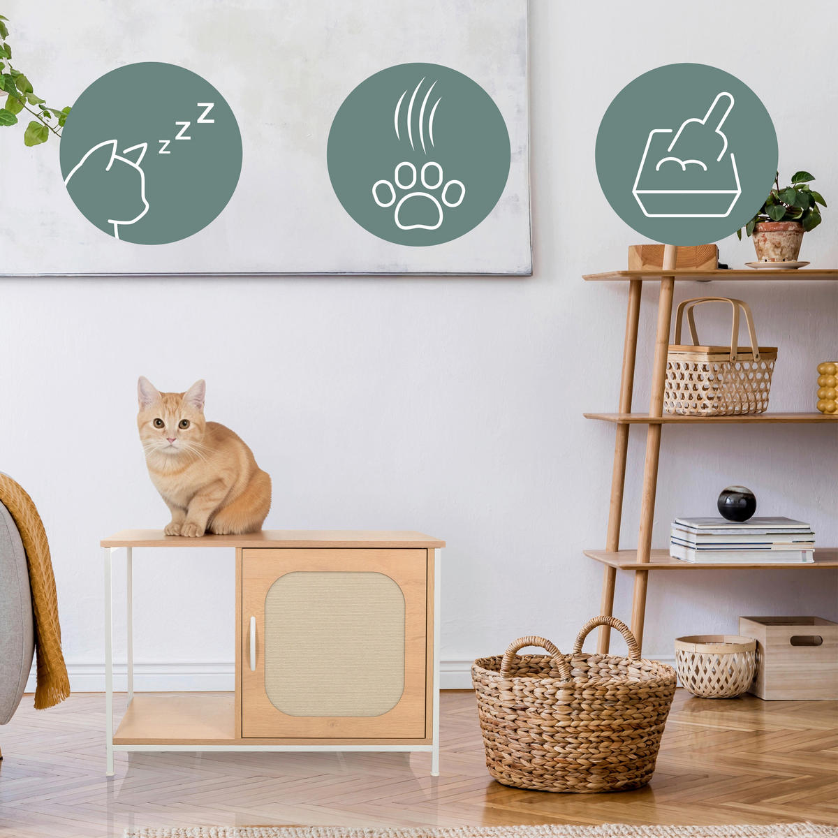 TIERHAUS - Buchefarben, MODERN, Holzwerkstoff (80/55/48cm) - MID.YOU