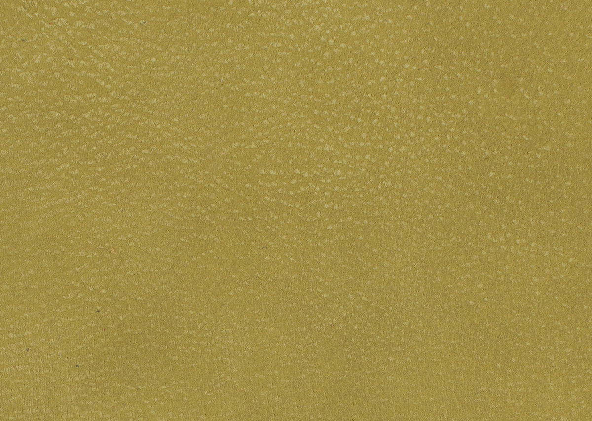 SESSEL in Echtleder Hellgrün  - Schwarz/Hellgrün, Design, Leder/Metall (80/104/99cm) - Koinor
