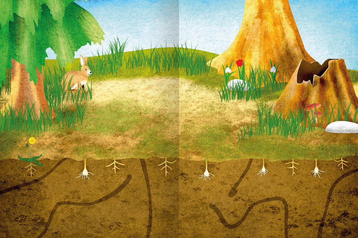 BUCH  - Multicolor, Basics, Papier (21/28/1cm)