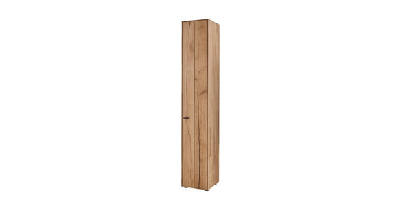 SCHRANK in Eichefarben  - Wildeiche/Eichefarben, Design, Holz/Holzwerkstoff (35,5/205,5/37,1cm) - Dieter Knoll