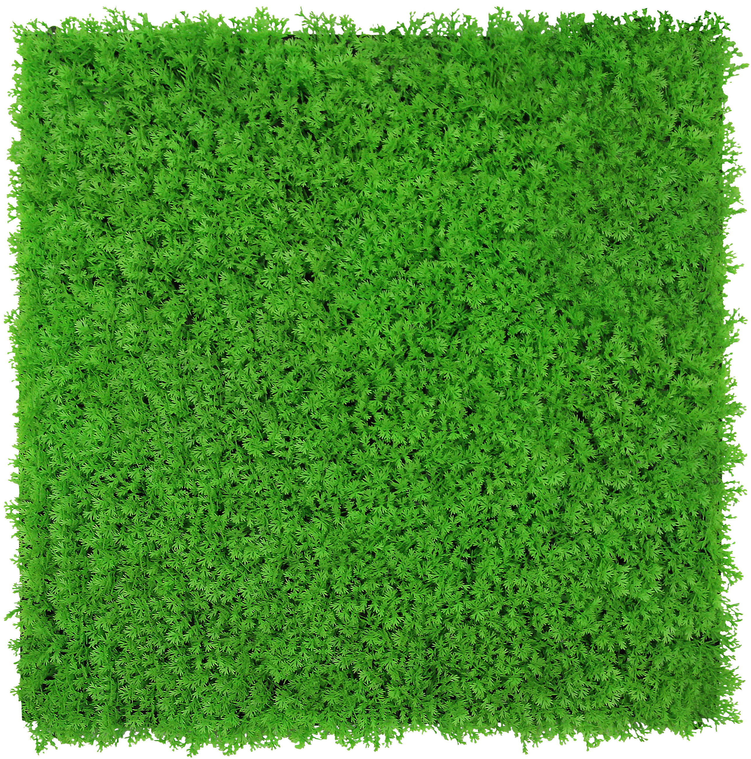 AKUSTIKPANEEL Modular Wall System Design Flora Hellgrün 52/52/2,8 cm  - Hellgrün, KONVENTIONELL, Kunststoff (52/52/2,8cm) - Jangal