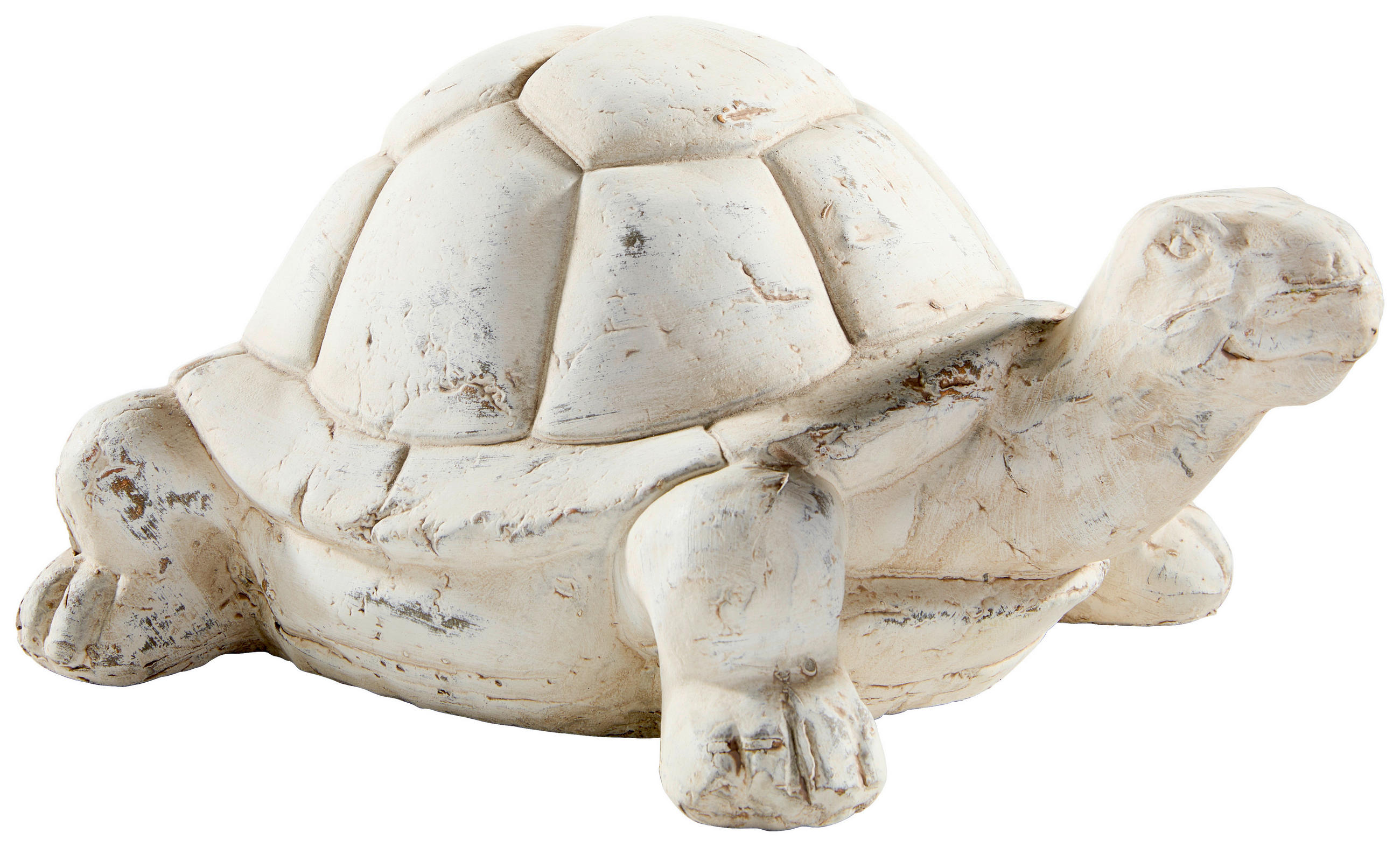 DEKOSCHILDKRÖTE - Creme, Basics (17/12/28cm)