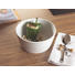 AUFLAUFFORM Porzellan - Weiß, Basics (20cm) - HOMEWARE
